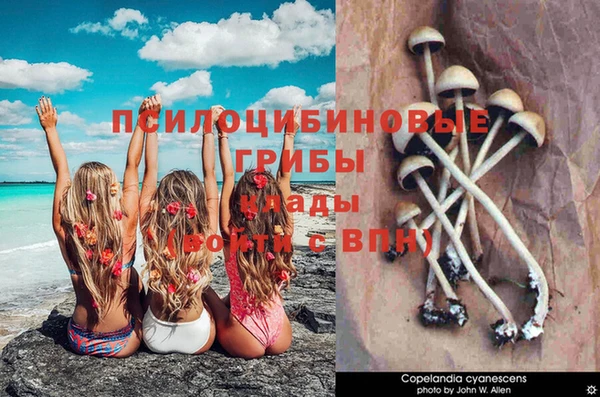 Альфа ПВП Беломорск