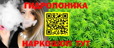 стафф Малгобек