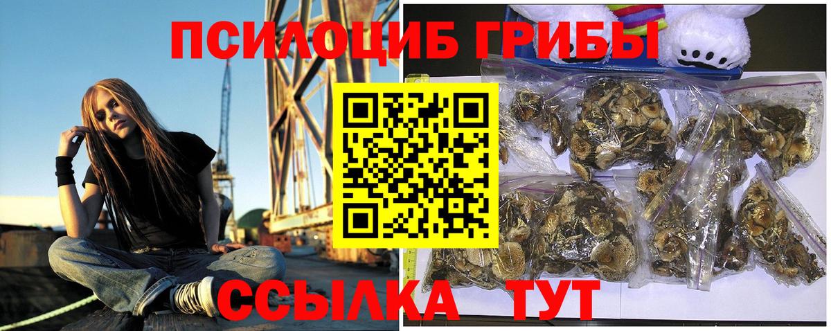 Горячий Ключ  Галлюциногенные грибы ЛСД  Галлюциногенные грибы Psilocybe  Вход с VPN 